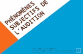 18-Phénomènes Subjectifs de L_audition
