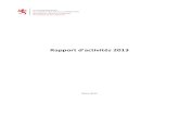2013 Rapport Activite Men