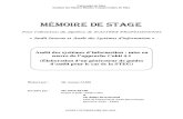 Mémoire de Stage - Mise en Oeuvre de l'Approche Cobit4.1 en Matière d'Audit Des Systèmes d'Information