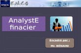 Analyste Financier(1)