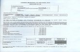 Rapport n°32 Conseil municipal du Puy du 1er avril