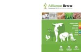 catalogue Alliance