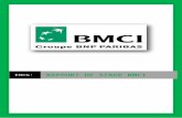 Rapport de Stage - BMCI - Présentation de La Banque (Initiation) 11