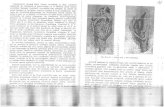 Obstetrica Ginecologie Cadre Medii 116 145