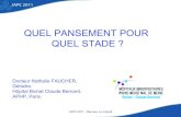 Presentation Les Stades de La Plaie Chronique Quel Pansement Pour Quel Stade [1]