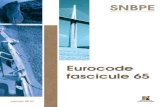 Eurocodes Et Fascicule 65