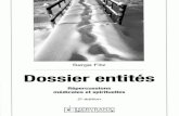 Dossier Entités    Serge FITZ
