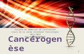 23. Cancerogenèse