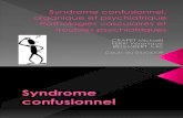 44789040 Syndrome Confusionnel