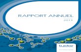 Rapport Annuel Crp Henri Tudor 2013