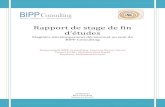 Rapport de Stage M2TI ROUISSI Mohamed (2)