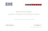 Audit Des Entreprises d'Immobilier Au Maroc - Copie