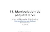 IPv6 0x0B Manipulation de Paquets
