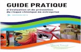 Guide Pratique Risque Chimique 2013