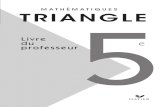Triangle5 Ldp 2010[1]