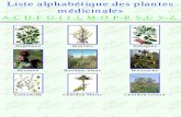 97398034 Guide Des Plantes Medicinales 2