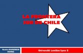 Frontera Sur de Chile