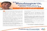P2F BOULOUPARIS OK.pdf
