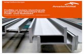 ArcelorMittal PV FR-De 2009-1 (1)