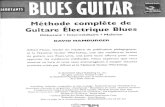 NGW - David Hamburger - Guitare Blues Dé