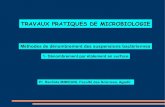 Tp_sv3-4_denombrement Traveaux Pratiques en Microbiologie