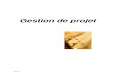 296 Pages Management Support Cours Gestion Projet + Exercices + Outils + Articles V3