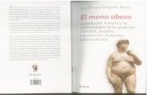 CAMPILLO Ã_LVAREZ, JosÃ_ Enrique - El mono obeso CrÃ_tica, 2010 - 128 pÃ_gsX2
