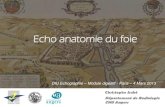 2013m1-Echo Anatomie Du Foie (1)