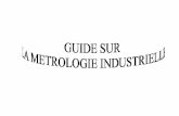 Guide Metrologie Industrielle