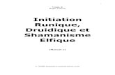 Initiation Runique, Druidique Et Shamanisme Elfique (Manuel 1)