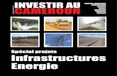 Investir Au Cameroun 6
