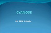 CYANOSE L3