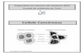 F31 La cellule cancéreuse et les états précancéreux
