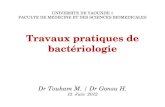 TP Microbio Niv 1 Lecture Lames