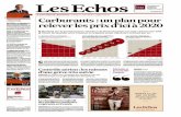 Les Echos du mardi 11 juin 2013.pdf