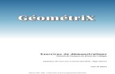 [GéométriX] Exercices de Brevet