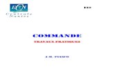 Automatisme Commande Travaux Pratiques(29Pages) 2006-2007