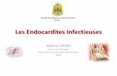 Endocardite Infectieuse.pdf