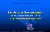 Les sources energétiques   de la resynthese de l'atp a  la contraction musculaire