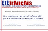 Une expérience  de travail collaboratif pour la promotion du Français à Espinho
