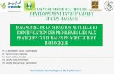 DIAGNOSTIC DE LA SITUATION ACTUELLE ET IDENTIFICATION DES PROBLÈMES LIÉS AUX PRATIQUES CULTURALES EN AGRICULTURE BIOLOGIQUE AU MAROC
