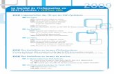 Diagnostic 2009 de la Société de l'Information en Midi-Pyrénées