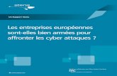 Les entreprises européennes sont elles bien armées pour affronter les cyber attaques