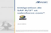 Intégration de SAP R/3 et salesforce.com