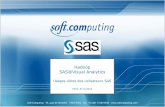 SAS Forum Soft Computing Théâtre