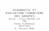 Diagnostic Evaluation Financiere Groupes 2014 2015