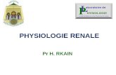 Physio Renale 3eme Cours