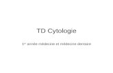 TD Cytologie.ppt