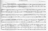 Victor Malykh Toccata
