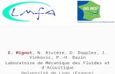 E. Mignot, N. Rivière, D. Doppler, I. Vinkovic, P.-H. Bazin Laboratoire de Mécanique des Fluides et d’Acoustique Université de Lyon (France)